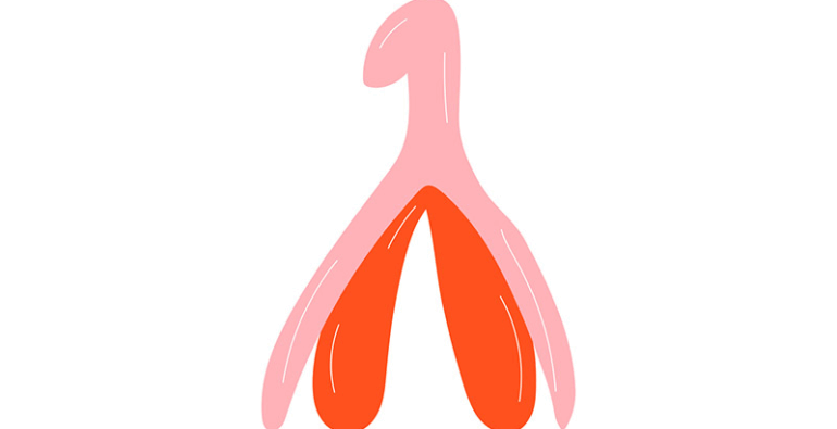 clitóris